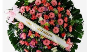 coroas_de_gerberas_c_pia_ok_2__1_1